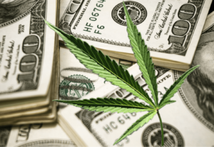 Cannabis leaf over $100 bills